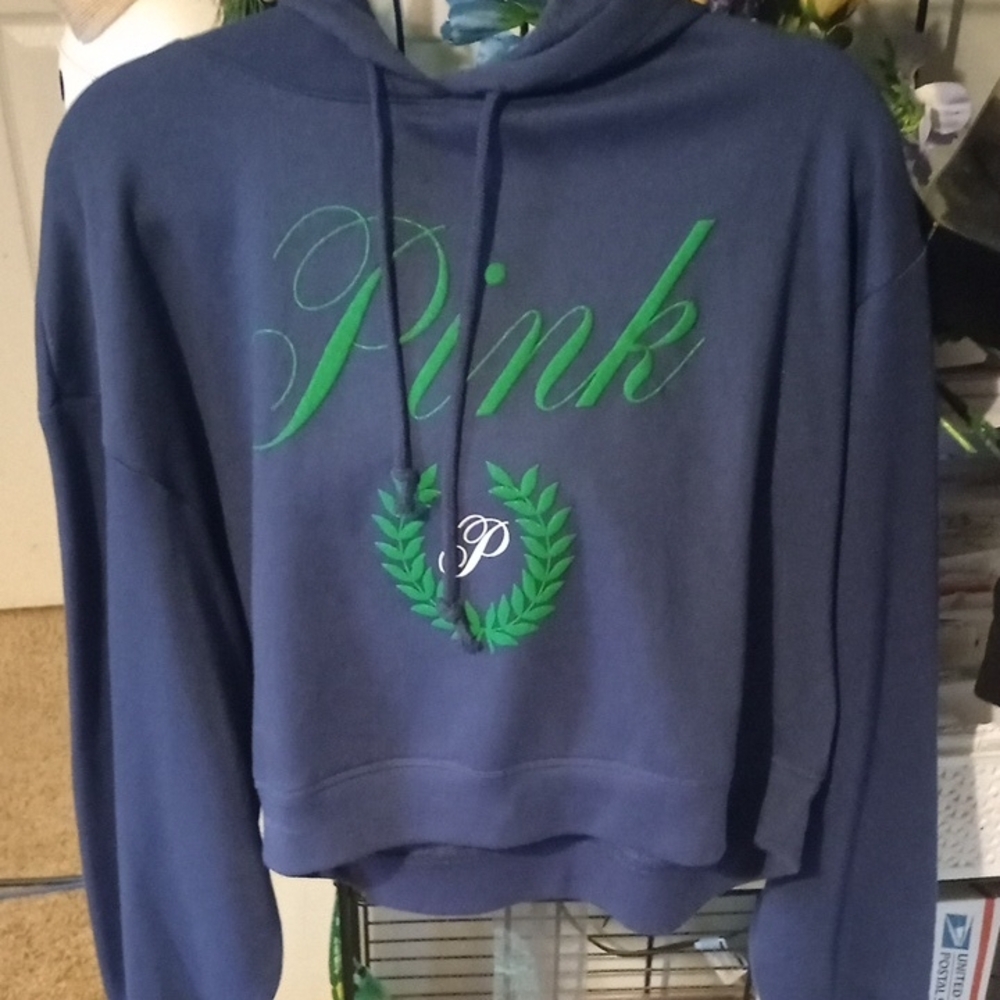 PINK Victoria's Secret Blue and Green Hoodie Sweater